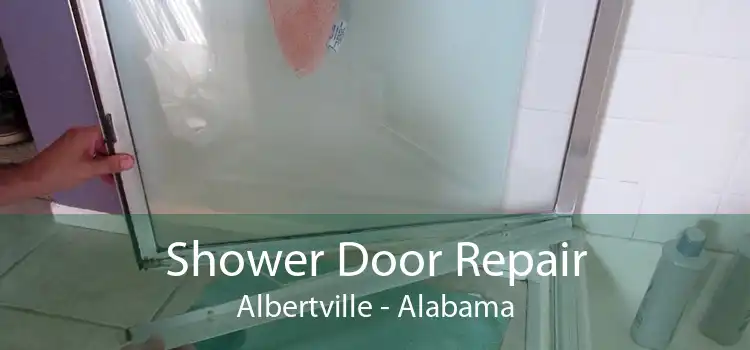 Shower Door Repair Albertville - Alabama