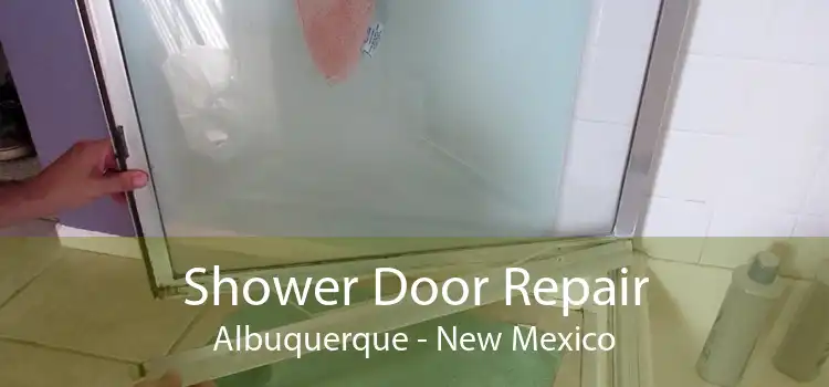 Shower Door Repair Albuquerque - New Mexico