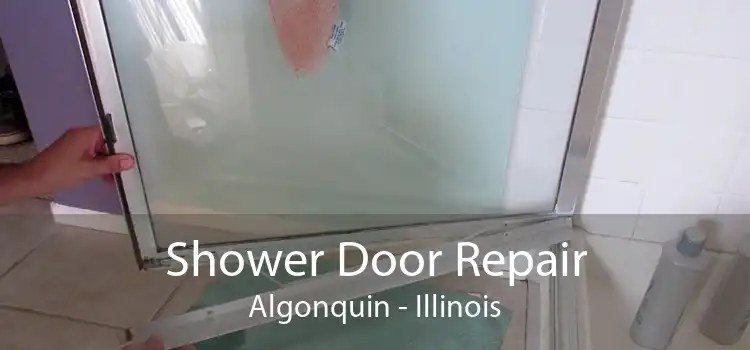 Shower Door Repair Algonquin - Illinois