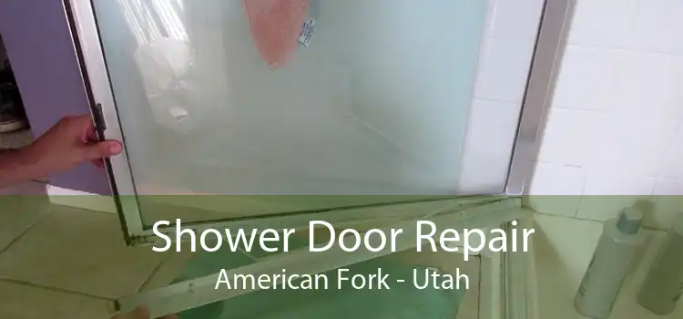Shower Door Repair American Fork - Utah