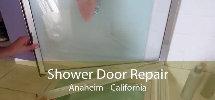 Shower Door Repair Anaheim - California