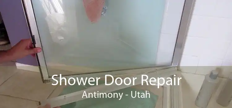 Shower Door Repair Antimony - Utah