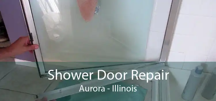 Shower Door Repair Aurora - Illinois