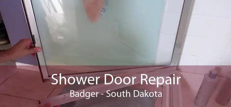 Shower Door Repair Badger - South Dakota