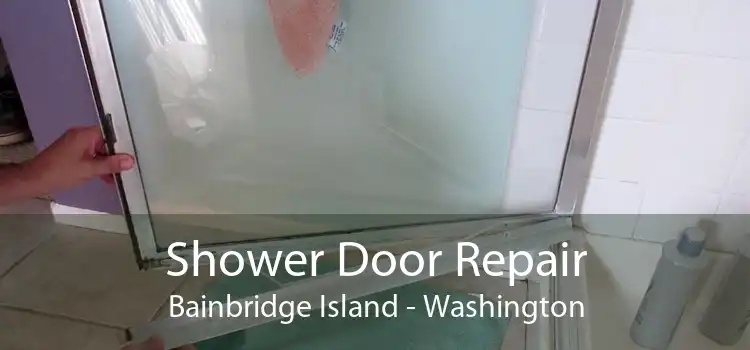 Shower Door Repair Bainbridge Island - Washington