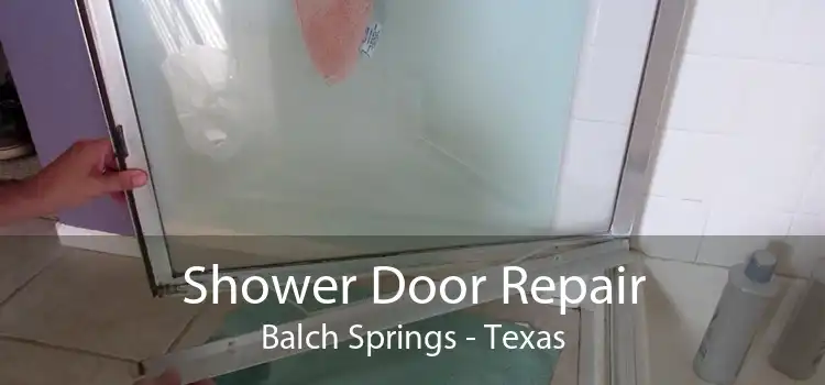 Shower Door Repair Balch Springs - Texas