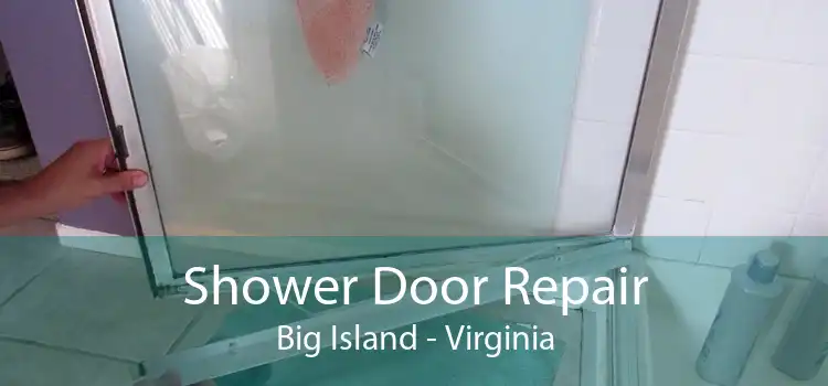 Shower Door Repair Big Island - Virginia