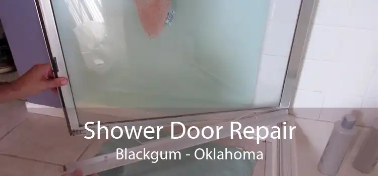 Shower Door Repair Blackgum - Oklahoma