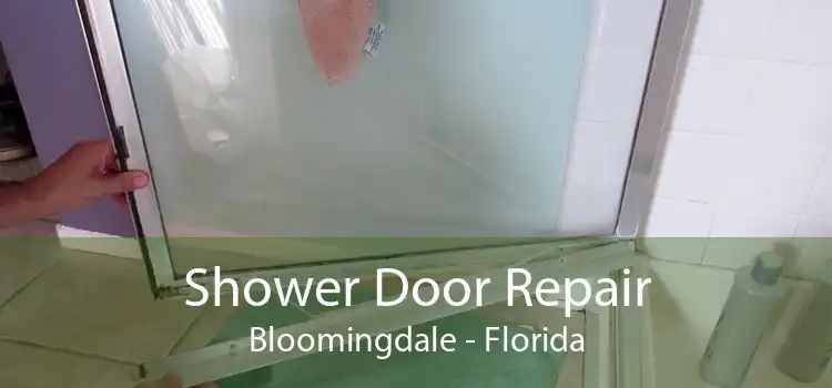 Shower Door Repair Bloomingdale - Florida