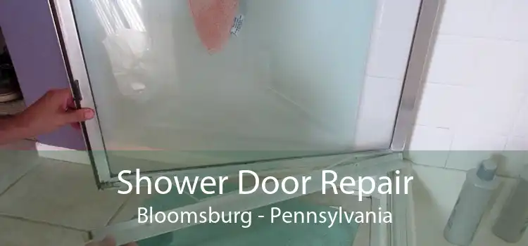 Shower Door Repair Bloomsburg - Pennsylvania