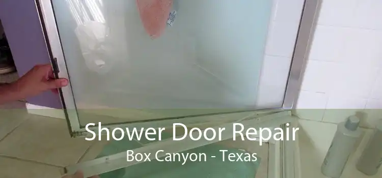 Shower Door Repair Box Canyon - Texas
