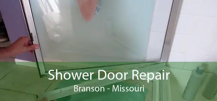 Shower Door Repair Branson - Missouri