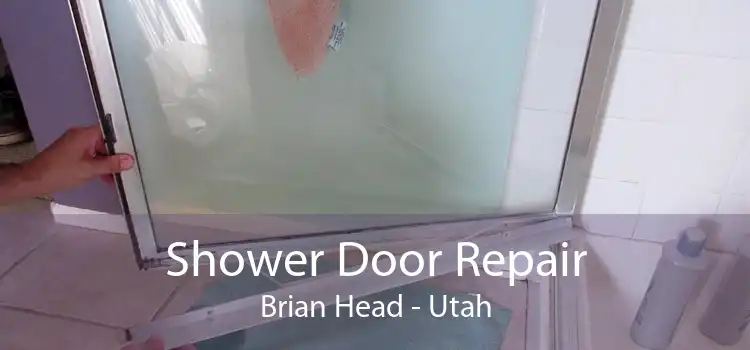 Shower Door Repair Brian Head - Utah