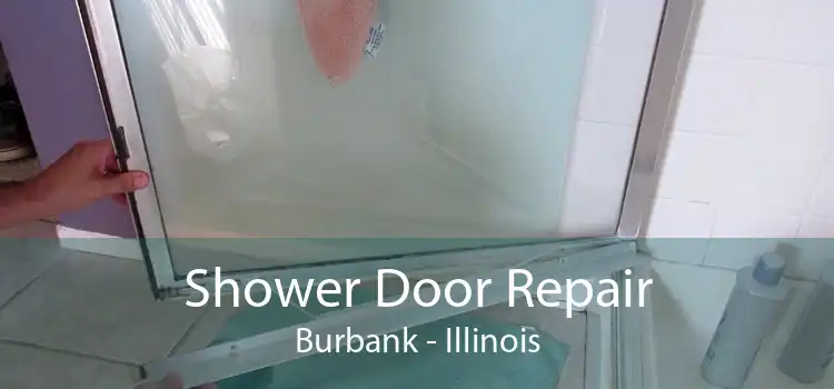 Shower Door Repair Burbank - Illinois