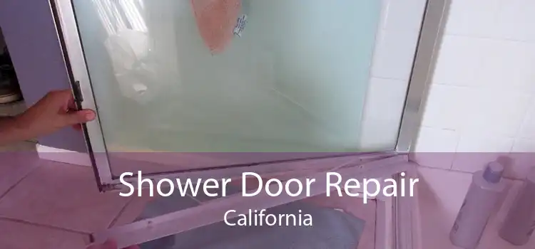 Shower Door Repair California