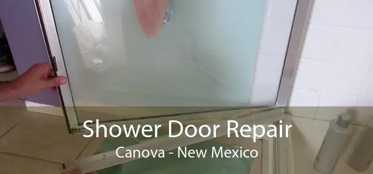 Shower Door Repair Canova - New Mexico