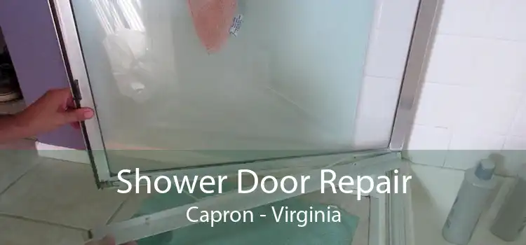 Shower Door Repair Capron - Virginia