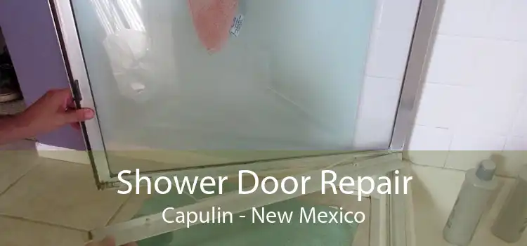 Shower Door Repair Capulin - New Mexico