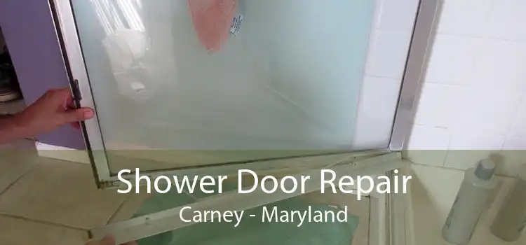 Shower Door Repair Carney - Maryland