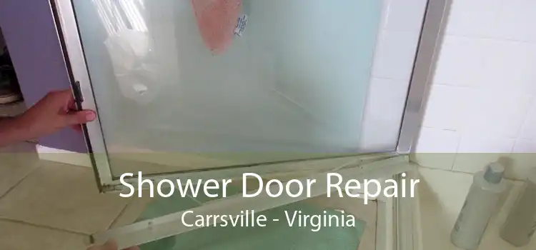 Shower Door Repair Carrsville - Virginia