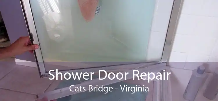 Shower Door Repair Cats Bridge - Virginia