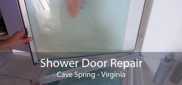 Shower Door Repair Cave Spring - Virginia