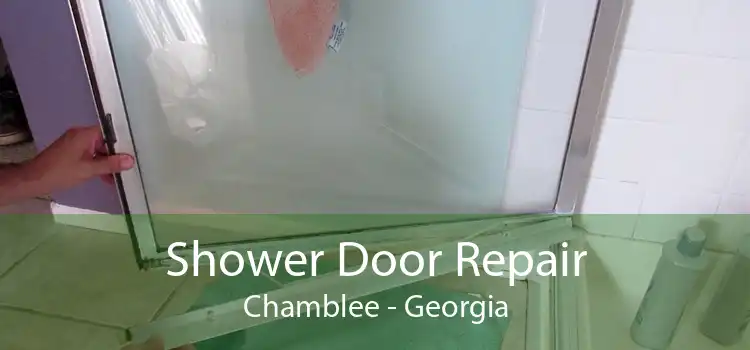 Shower Door Repair Chamblee - Georgia