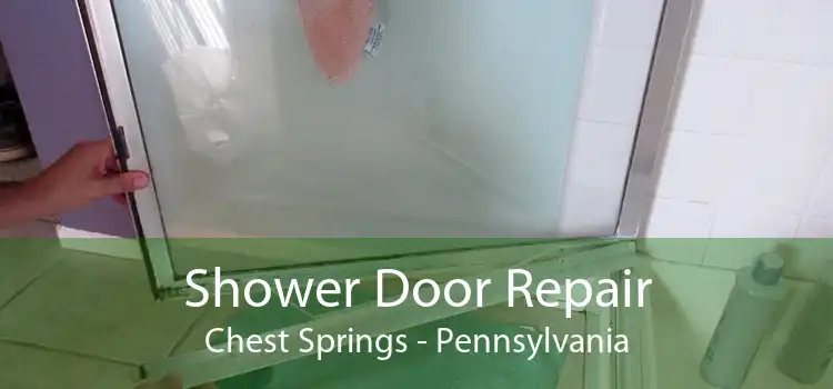 Shower Door Repair Chest Springs - Pennsylvania