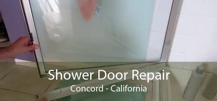 Shower Door Repair Concord - California