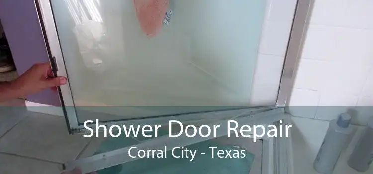 Shower Door Repair Corral City - Texas