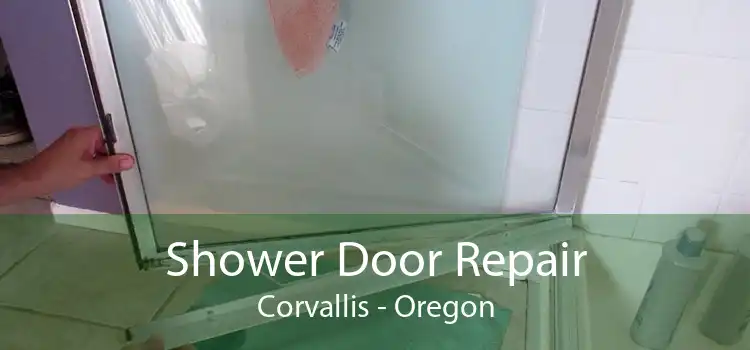 Shower Door Repair Corvallis - Oregon