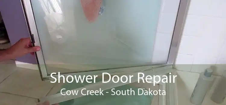 Shower Door Repair Cow Creek - South Dakota