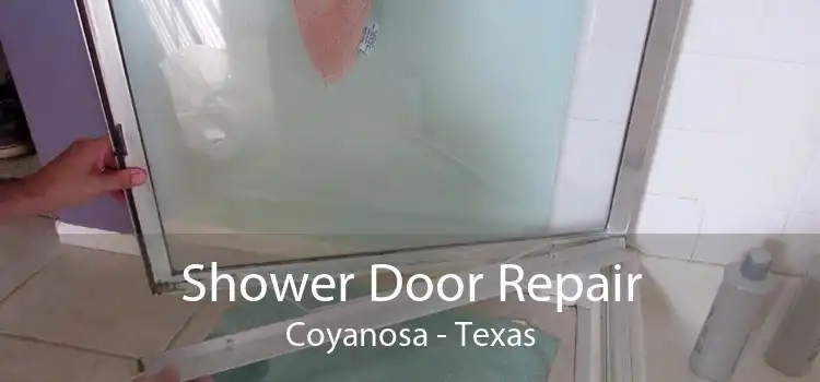 Shower Door Repair Coyanosa - Texas