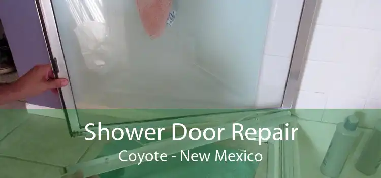 Shower Door Repair Coyote - New Mexico