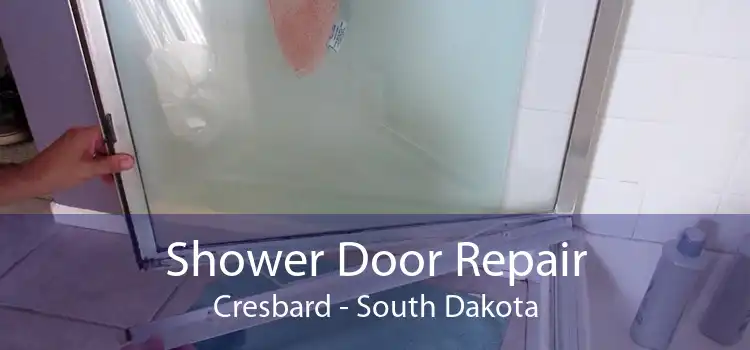 Shower Door Repair Cresbard - South Dakota