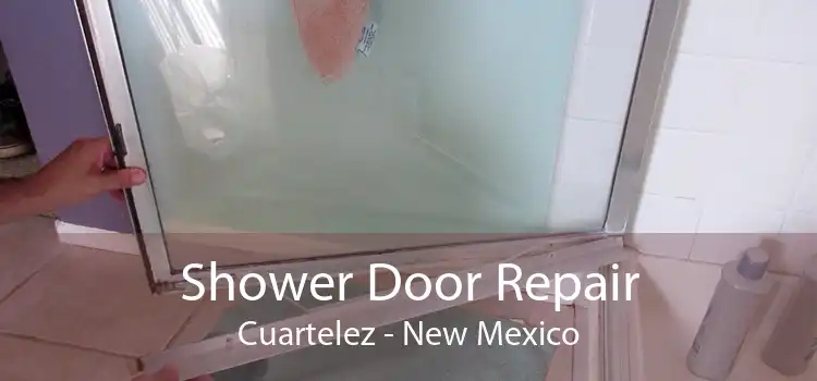 Shower Door Repair Cuartelez - New Mexico