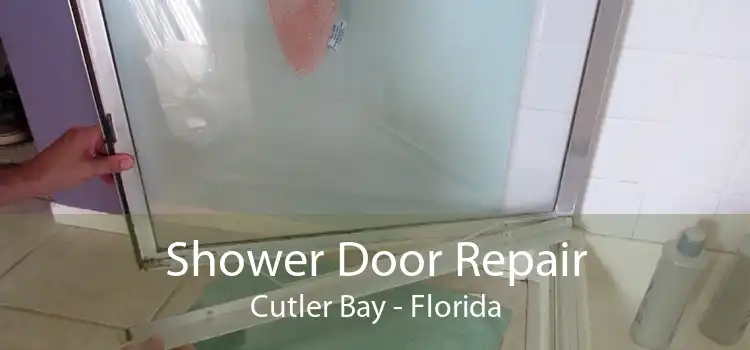 Shower Door Repair Cutler Bay - Florida