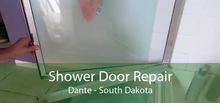 Shower Door Repair Dante - South Dakota