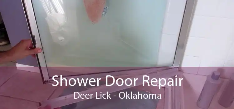 Shower Door Repair Deer Lick - Oklahoma