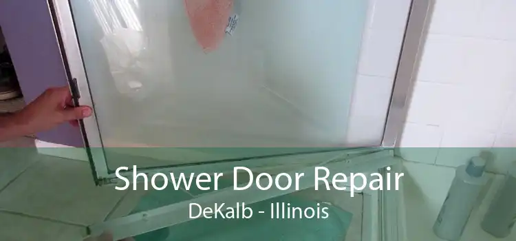 Shower Door Repair DeKalb - Illinois