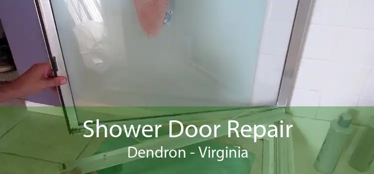 Shower Door Repair Dendron - Virginia