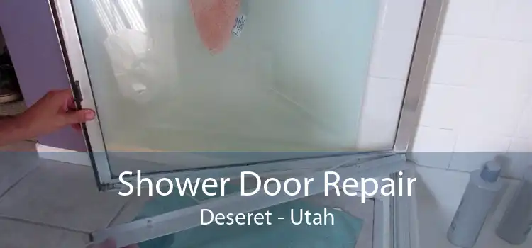 Shower Door Repair Deseret - Utah
