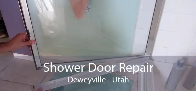 Shower Door Repair Deweyville - Utah