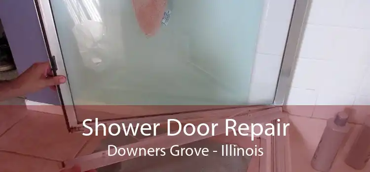 Shower Door Repair Downers Grove - Illinois