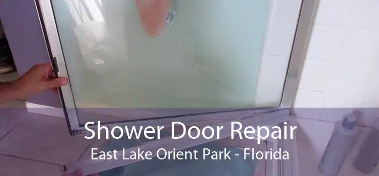 Shower Door Repair East Lake Orient Park - Florida