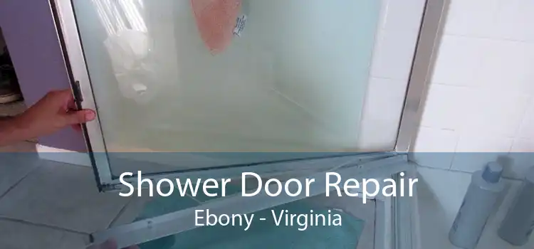 Shower Door Repair Ebony - Virginia