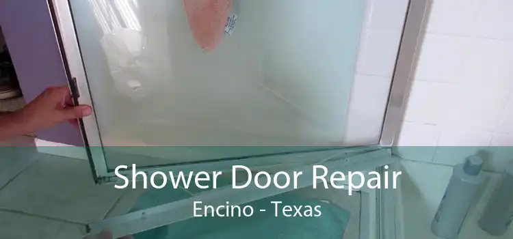 Shower Door Repair Encino - Texas
