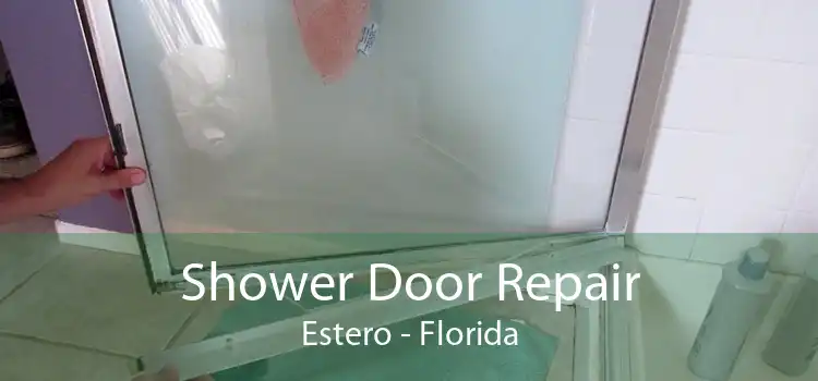 Shower Door Repair Estero - Florida