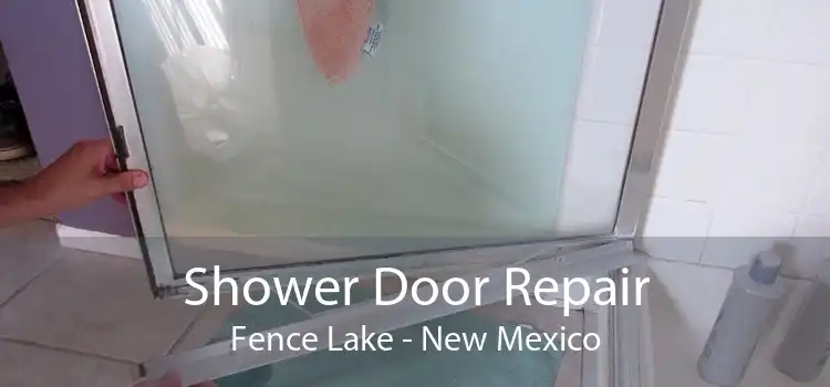 Shower Door Repair Fence Lake - New Mexico