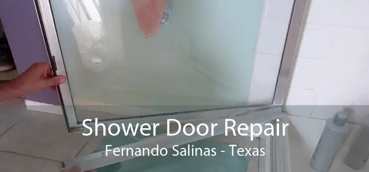 Shower Door Repair Fernando Salinas - Texas